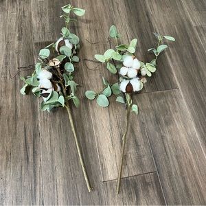 eucalyptus and cotton stems 18inch